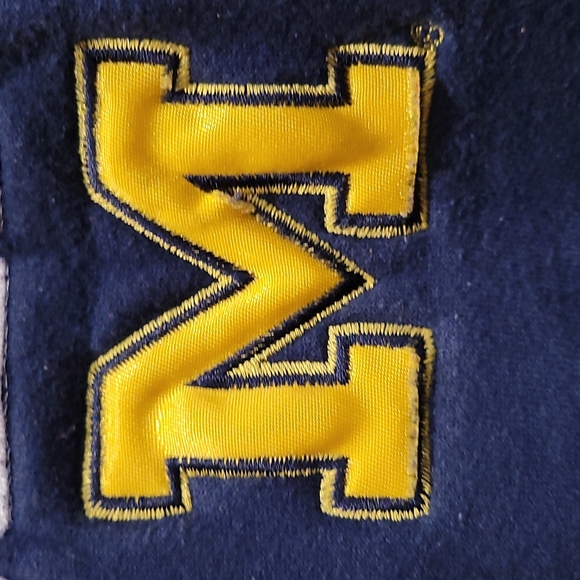 Vintage Ultimate Cotton Hanes print pro Distressed Michigan hoodie - Picture 3 of 7